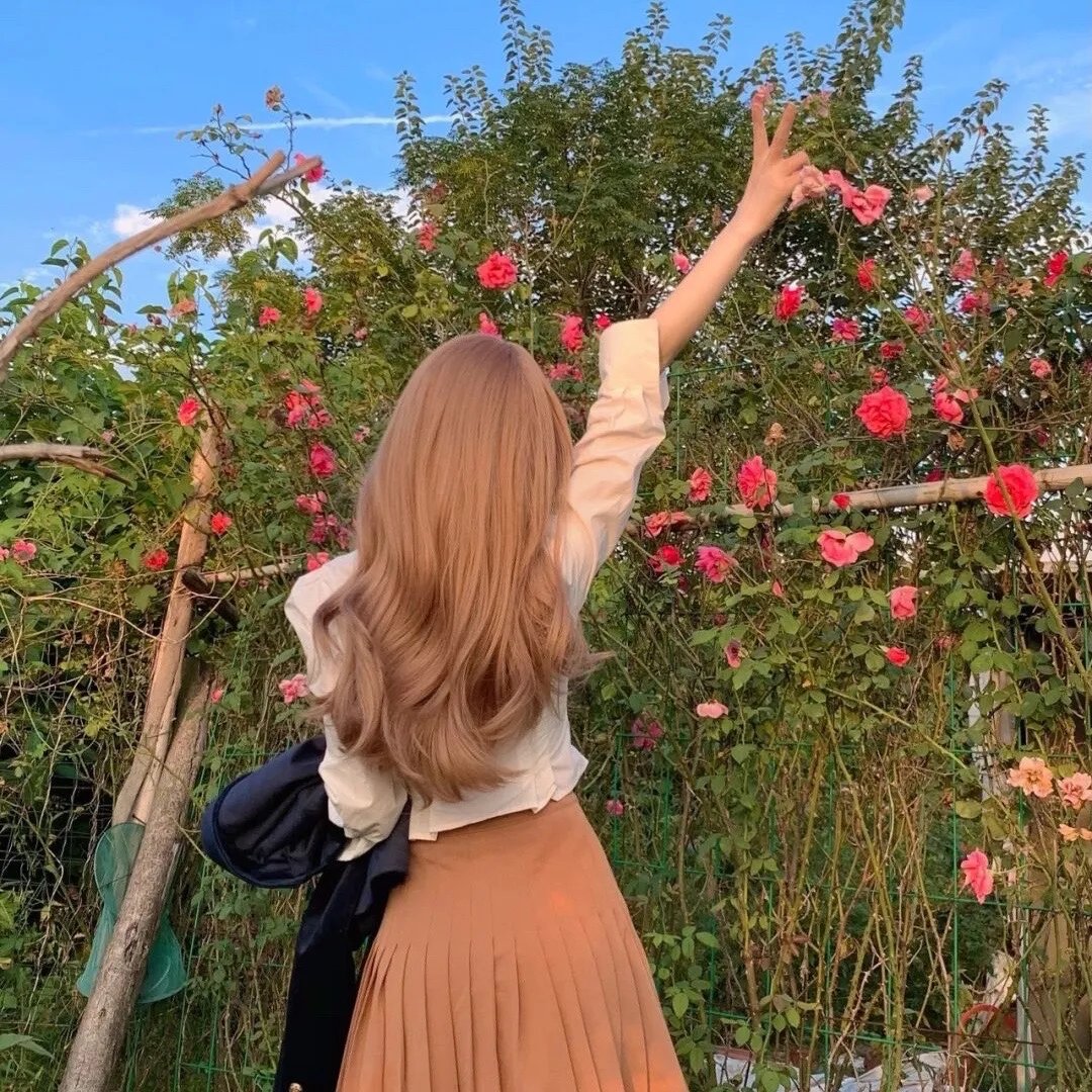 南多·福多尔和会说话的猫鼬